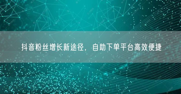 抖音粉丝增长新途径，自助下单平台高效便捷