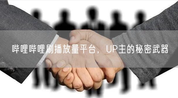 哔哩哔哩刷播放量平台，UP主的秘密武器
