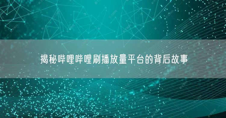 揭秘哔哩哔哩刷播放量平台的背后故事