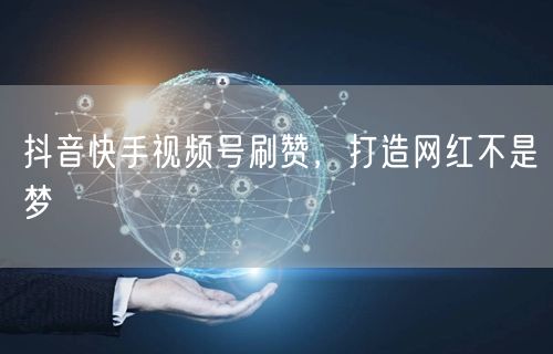 抖音快手视频号刷赞，打造网红不是梦