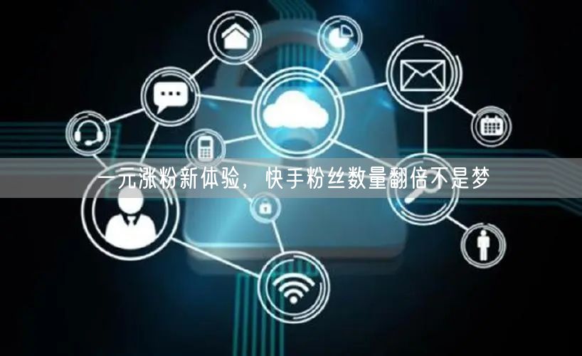 一元涨粉新体验，快手粉丝数量翻倍不是梦