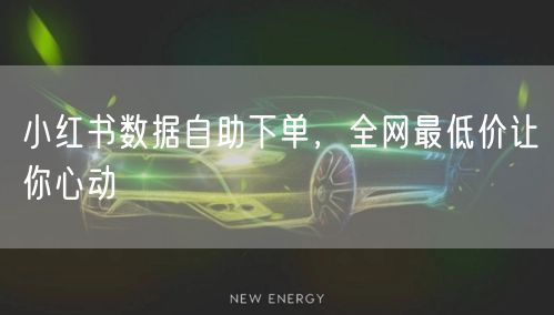 小红书数据自助下单，全网最低价让你心动