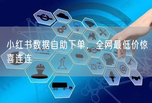 小红书数据自助下单，全网最低价惊喜连连