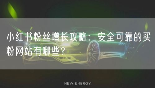 小红书粉丝增长攻略：安全可靠的买粉网站有哪些？