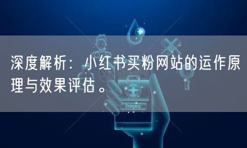 深度解析：小红书买粉网站的运作原理与效果评估。